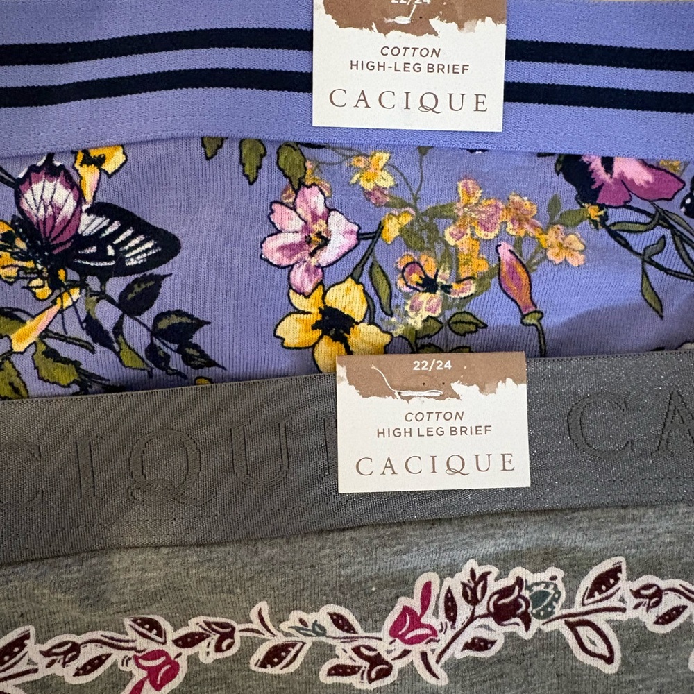 Cacique Purple and Gray High-Leg Briefs (2 pair bundle) NWT - Picture 2 of 4